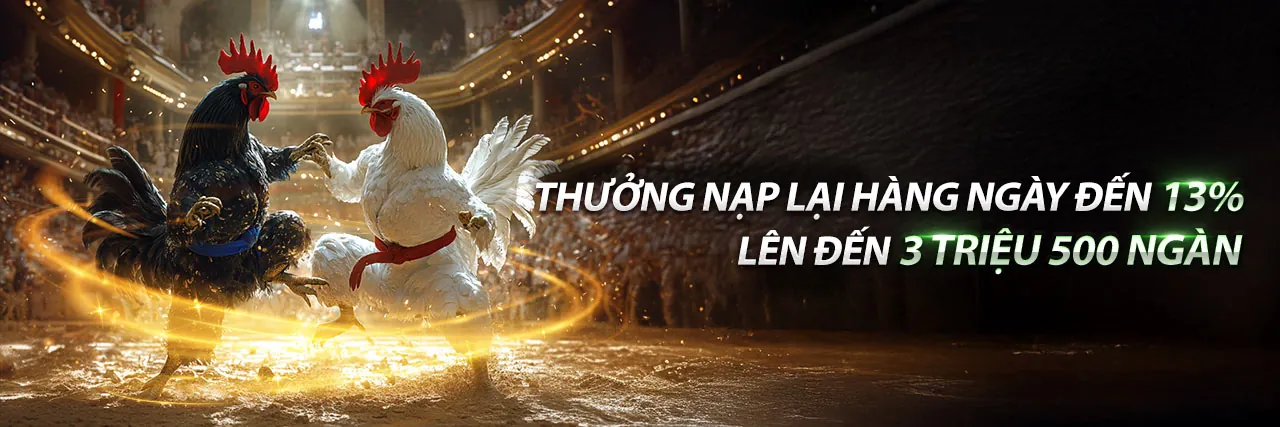 Đá Gà s6666 - Các Trận Đấu Gà Kịch Tính Trực Tuyến