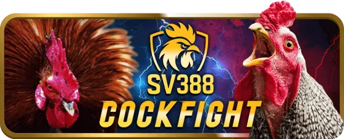 Cá Cược Quần Vợt